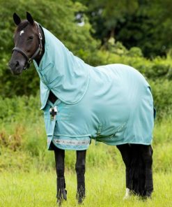 Mymiss.shop2736ef6046 1