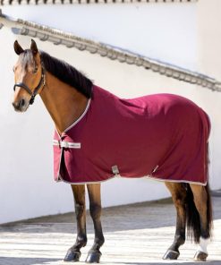 Mymiss.shop2885799120 1