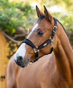 Mymiss.shop2de16c7c0a 1