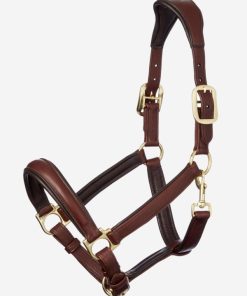 Mymiss.shop3281a8248a 1