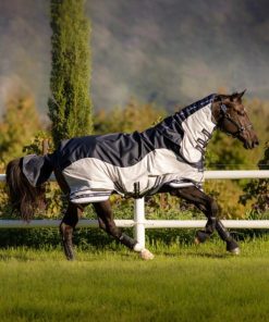 Mymiss.shop3d05415d0a 1