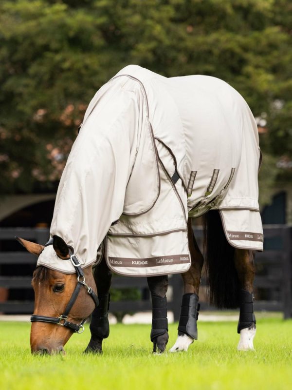 Mymiss.shop40214c996b 1