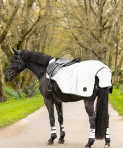 Mymiss.shop4a8a28f336 1