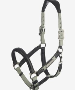 Mymiss.shop51f8f4d261 1