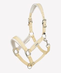 Mymiss.shop65acc119e7 1