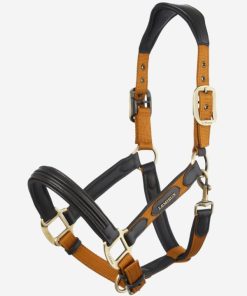 Mymiss.shop65ebbb9d1f 1