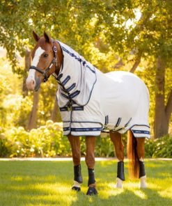 Mymiss.shop78b03969ea 1