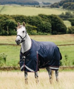 Mymiss.shop7e375a4044 1