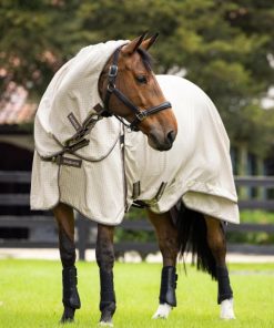 Mymiss.shop7e6aa62b81 1