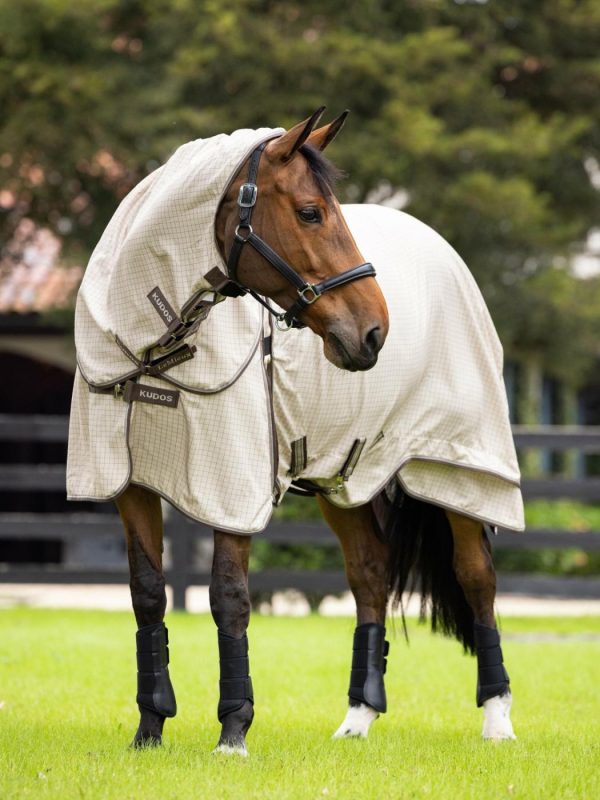 Mymiss.shop7e6aa62b81 1