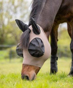 Mymiss.shop9787ff3590 1