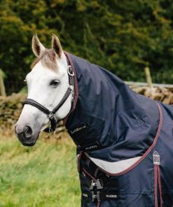 Mymiss.shopb354065573 1