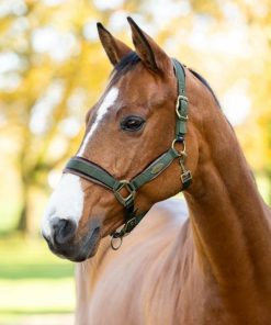 Mymiss.shopc69f0f3d97 1