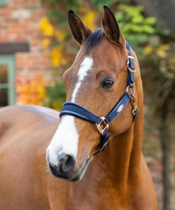 Mymiss.shopcd03f25f34 1