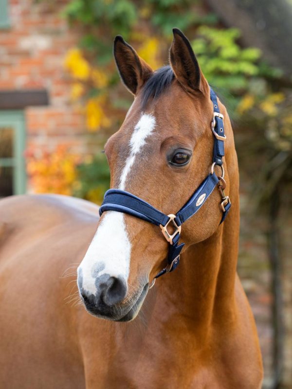 Mymiss.shopcd03f25f34 1