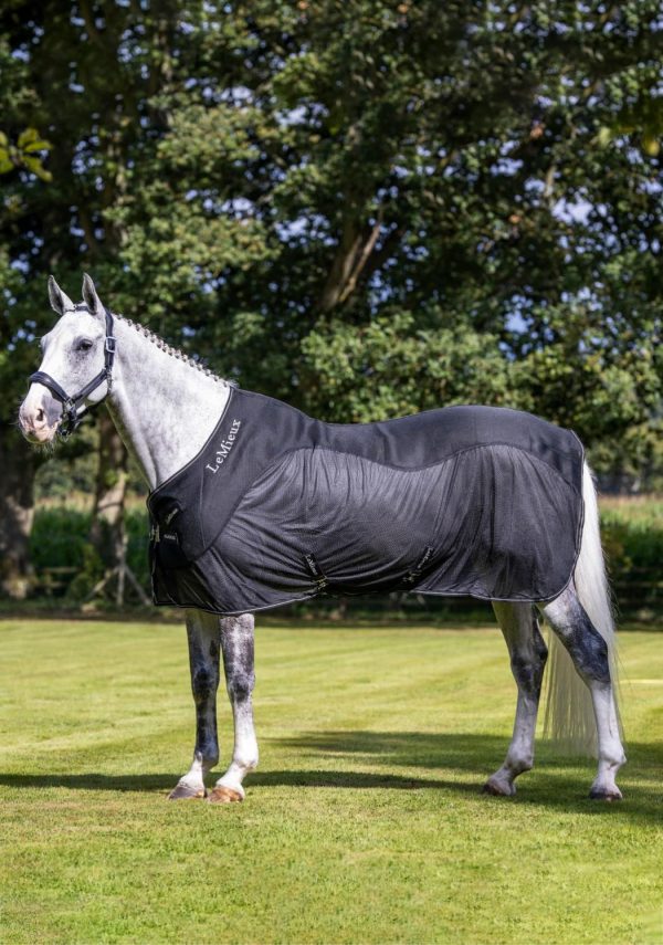 Mymiss.shopd6f1f070ec 1