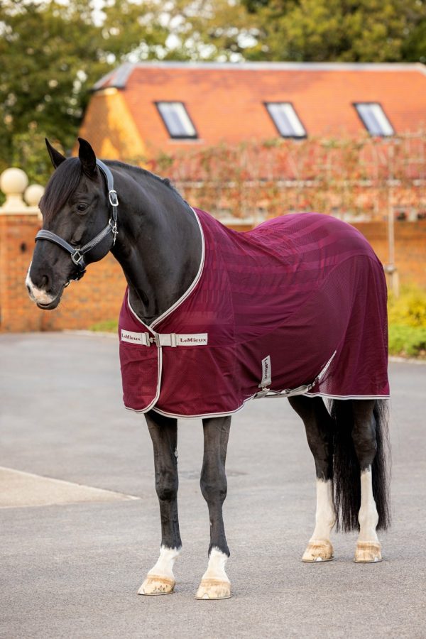 Mymiss.shopeb7ebb0eb4 1