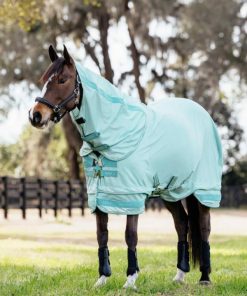 Mymiss.shopf704bcfad2 1