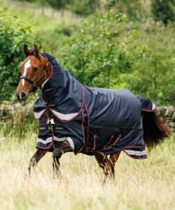 Mymiss.shopfc584c1043 1